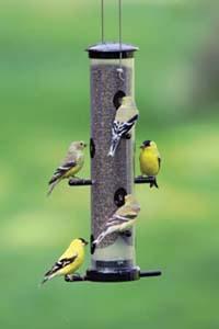 EcoClean Finch Feeder